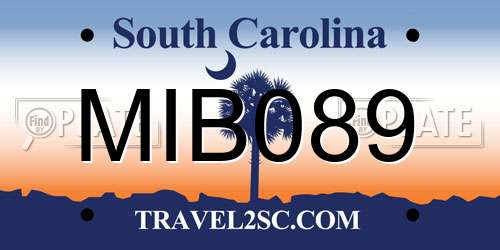 MIB089 South Carolina License Plate