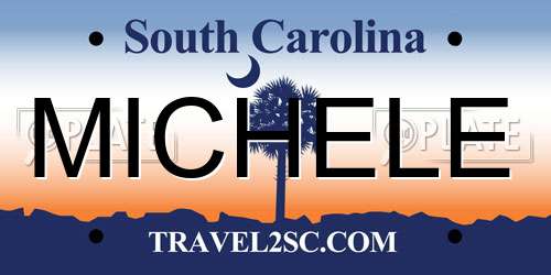 MICHELE South Carolina License Plate