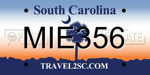 MIE356 South Carolina License Plate