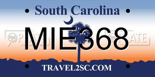 MIE368 South Carolina License Plate