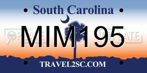 MIM195 South Carolina License Plate