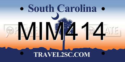 MIM414 South Carolina License Plate