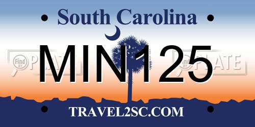 MIN125 South Carolina License Plate
