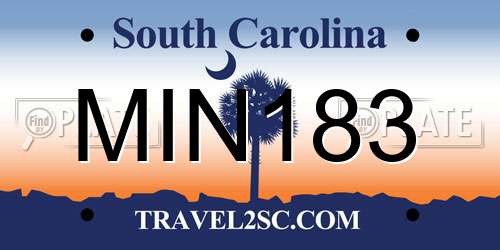 MIN183 South Carolina License Plate