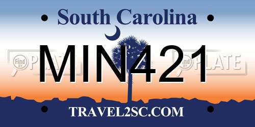 MIN421 South Carolina License Plate