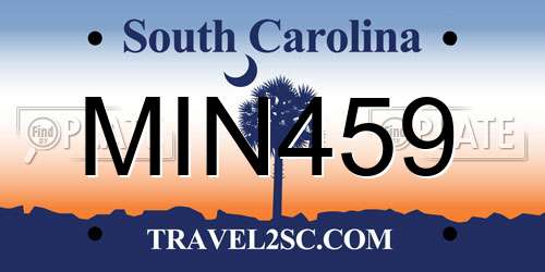 MIN459 South Carolina License Plate