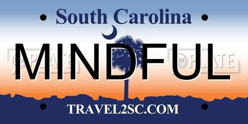 MINDFUL South Carolina License Plate