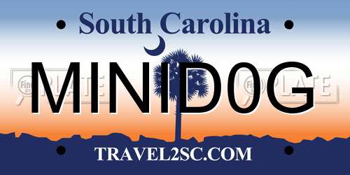 MINID0G South Carolina License Plate