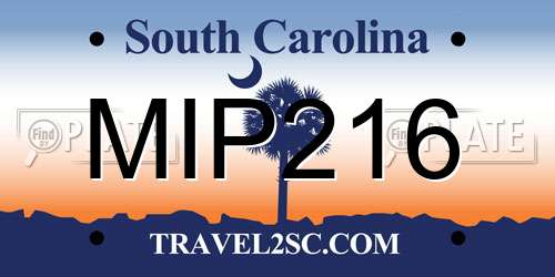 MIP216 South Carolina License Plate