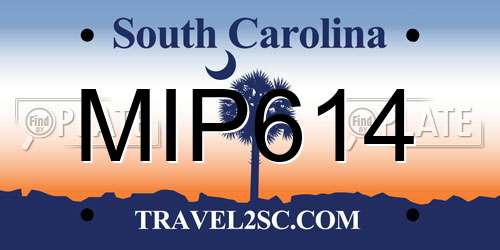 MIP614 South Carolina License Plate