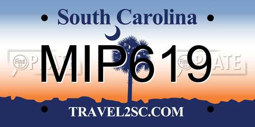 MIP619 South Carolina License Plate