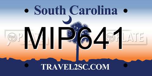 MIP641 South Carolina License Plate