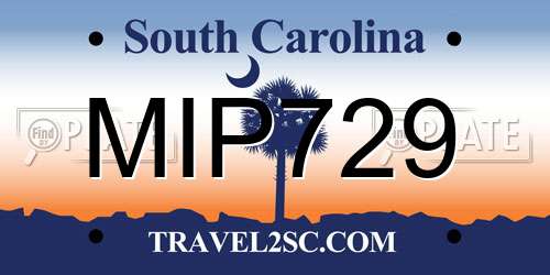 MIP729 South Carolina License Plate