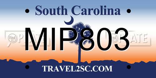 MIP803 South Carolina License Plate