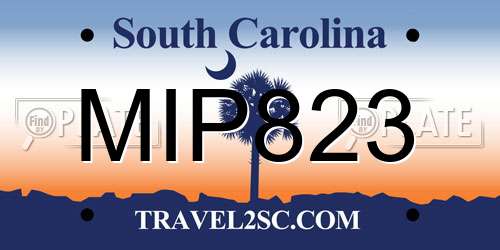MIP823 South Carolina License Plate