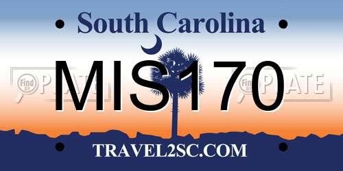 MIS170 South Carolina License Plate