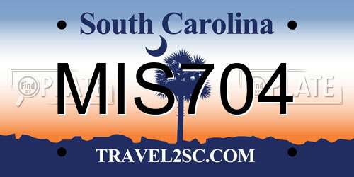 MIS704 South Carolina License Plate