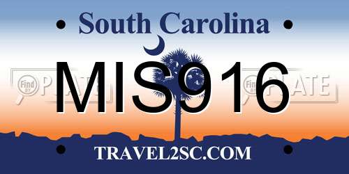 MIS916 South Carolina License Plate