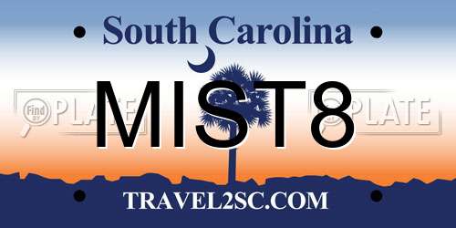 MIST8 South Carolina License Plate