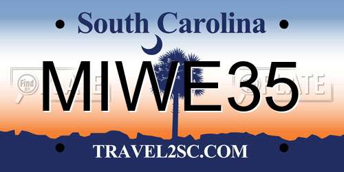 MIWE35 South Carolina License Plate