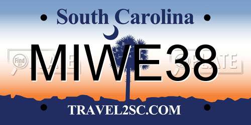 MIWE38 South Carolina License Plate