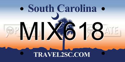 MIX618 South Carolina License Plate