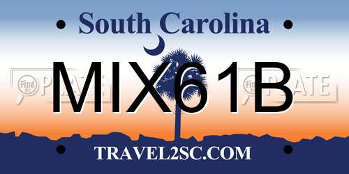 MIX61B South Carolina License Plate