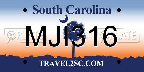 MJI316 South Carolina License Plate