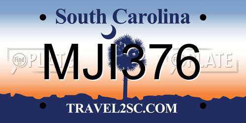 MJI376 South Carolina License Plate