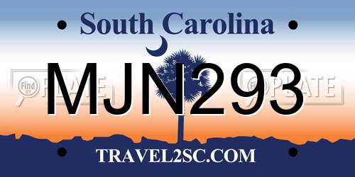 MJN293 South Carolina License Plate