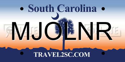 MJOLNR South Carolina License Plate