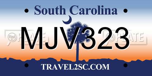 MJV323 South Carolina License Plate