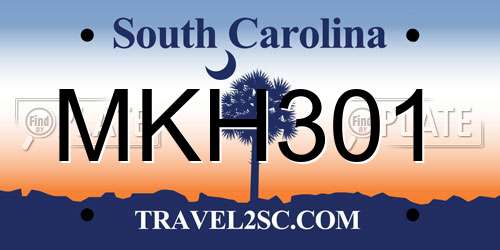 MKH301 South Carolina License Plate