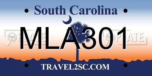 MLA301 South Carolina License Plate