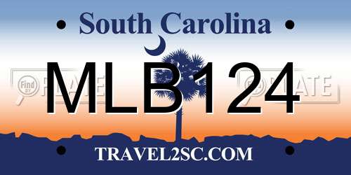 MLB124 South Carolina License Plate