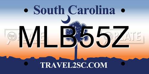 MLB55Z South Carolina License Plate