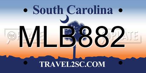 MLB882 South Carolina License Plate
