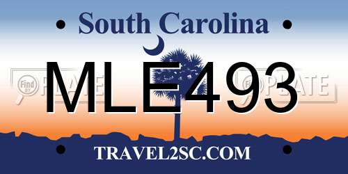 MLE493 South Carolina License Plate