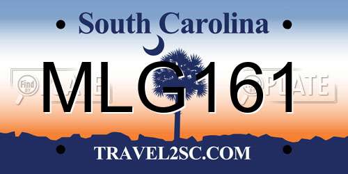 MLG161 South Carolina License Plate