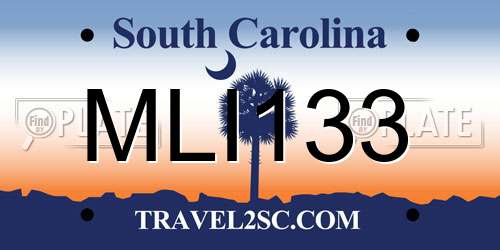 MLI133 South Carolina License Plate