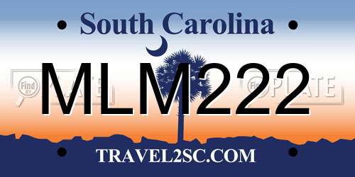 MLM222 South Carolina License Plate