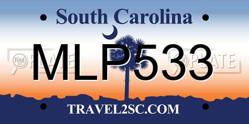 MLP533 South Carolina License Plate