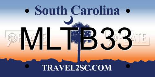 MLTB33 South Carolina License Plate