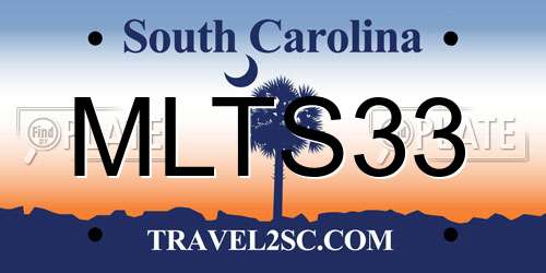 MLTS33 South Carolina License Plate