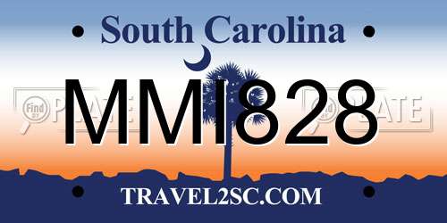 MMI828 South Carolina License Plate
