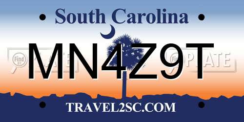 MN4Z9T South Carolina License Plate