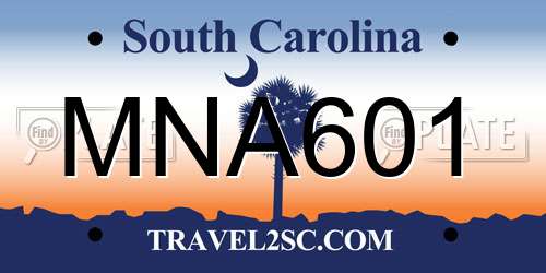 MNA601 South Carolina License Plate