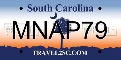 MNAP79 South Carolina License Plate