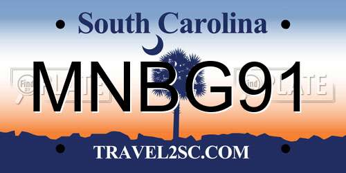 MNBG91 South Carolina License Plate