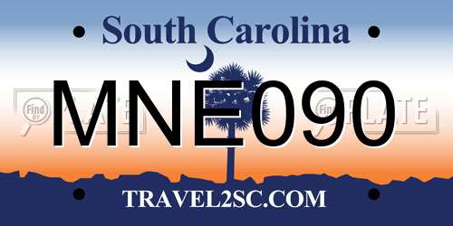 MNE090 South Carolina License Plate